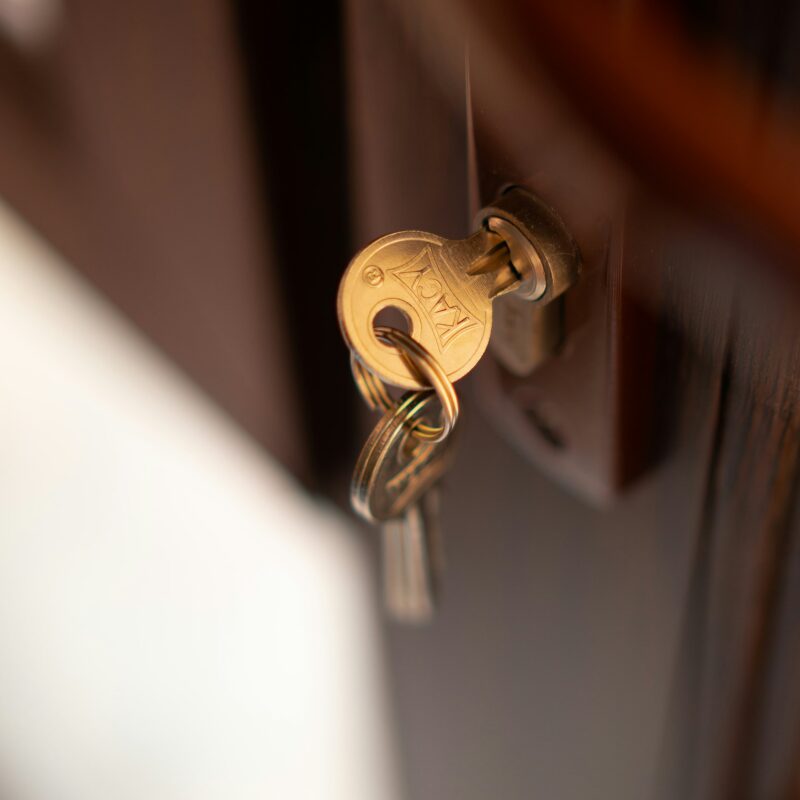 A brass lock set into a wooden door, representing the permission boundaries at the centre of AI governance