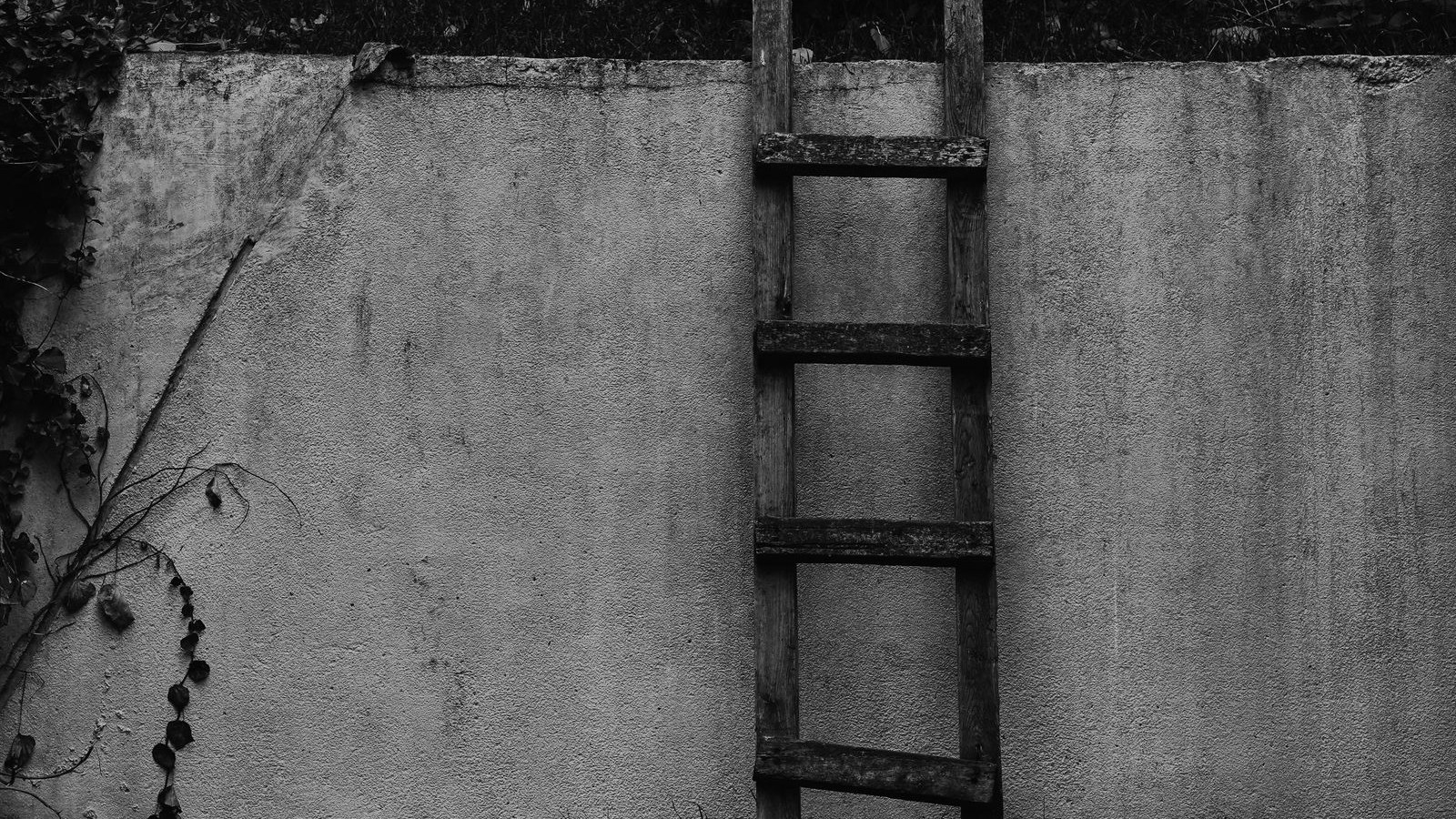 A wooden ladder leaning against a plain wall, every rung in view