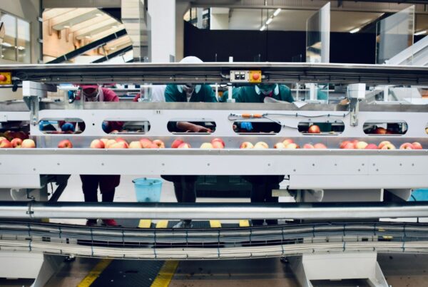 A packaging line with products moving along a conveyor