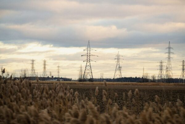 High-voltage transmission towers across open grassland under an overcast sky