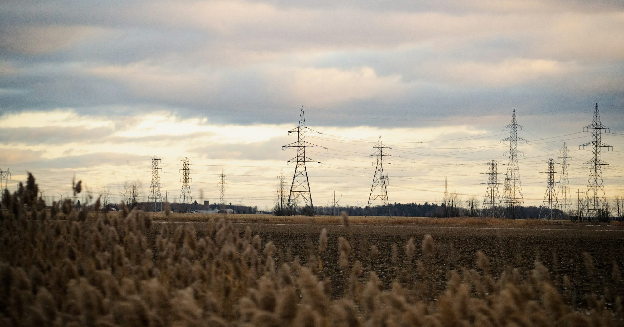 High-voltage transmission towers across open grassland under an overcast sky