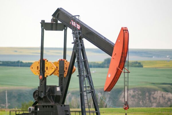 A pumpjack in a canola field